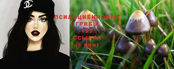 первитин Армянск