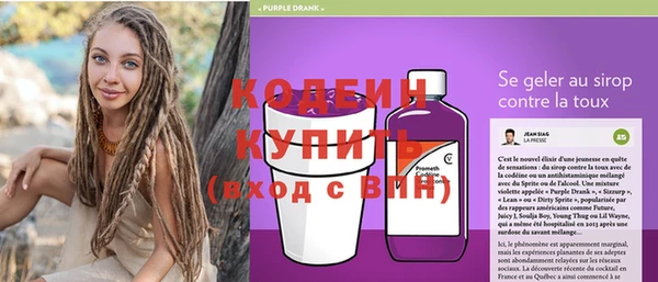 шишки Магас