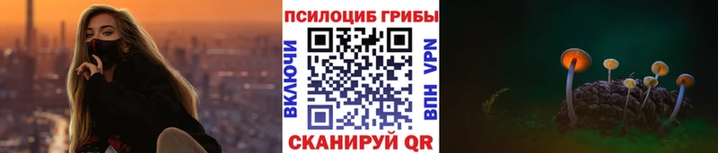 даркнет сайт  Руза  Галлюциногенные грибы Cubensis 
